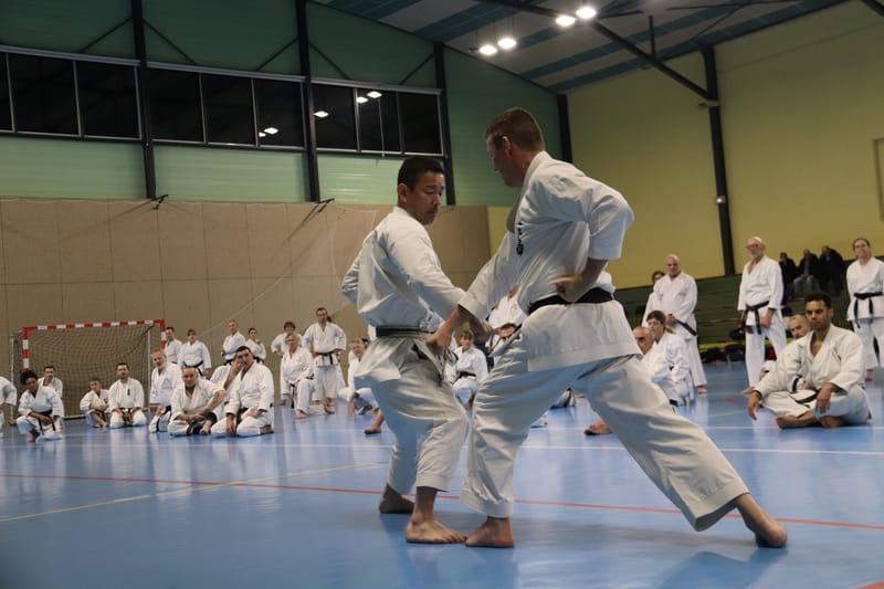 Stage Fumitoshi KANAZAWA le 13/02/2026 à la Ferté Saint Aubin