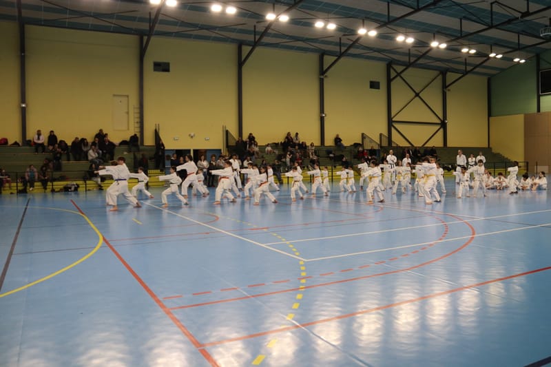 Stage Fumitoshi KANAZAWA le 13/02/2026 à la Ferté Saint Aubin