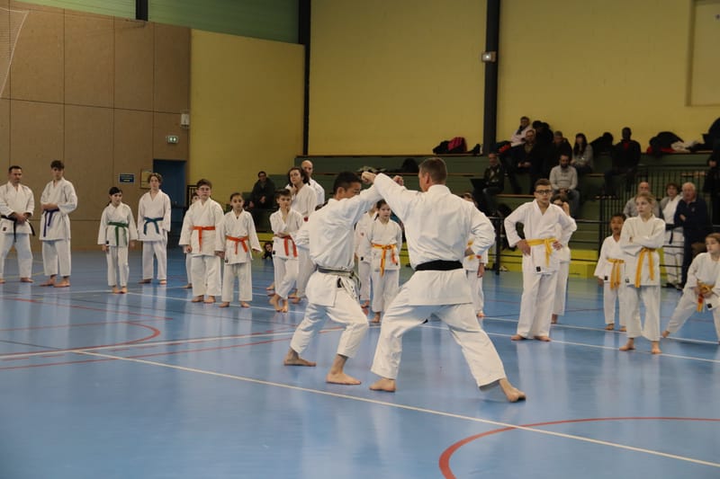 Stage Fumitoshi KANAZAWA le 13/02/2026 à la Ferté Saint Aubin