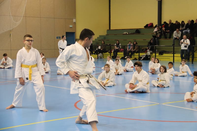 Stage Fumitoshi KANAZAWA le 13/02/2026 à la Ferté Saint Aubin