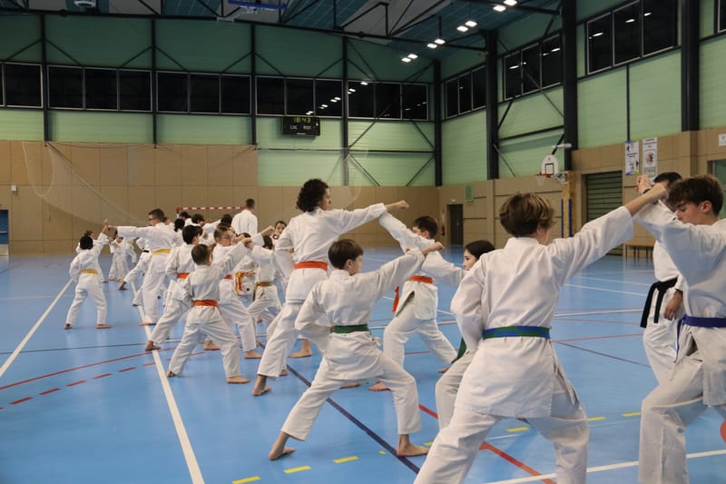 Stage Fumitoshi KANAZAWA le 13/02/2026 à la Ferté Saint Aubin