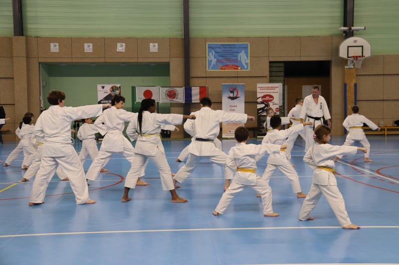 Stage Fumitoshi KANAZAWA le 13/02/2026 à la Ferté Saint Aubin