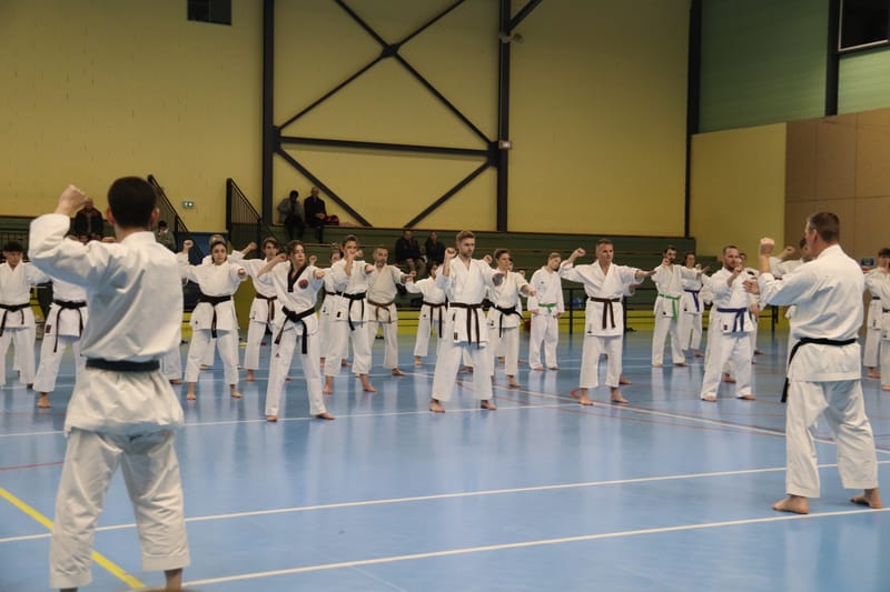 Stage Fumitoshi KANAZAWA le 13/02/2026 à la Ferté Saint Aubin