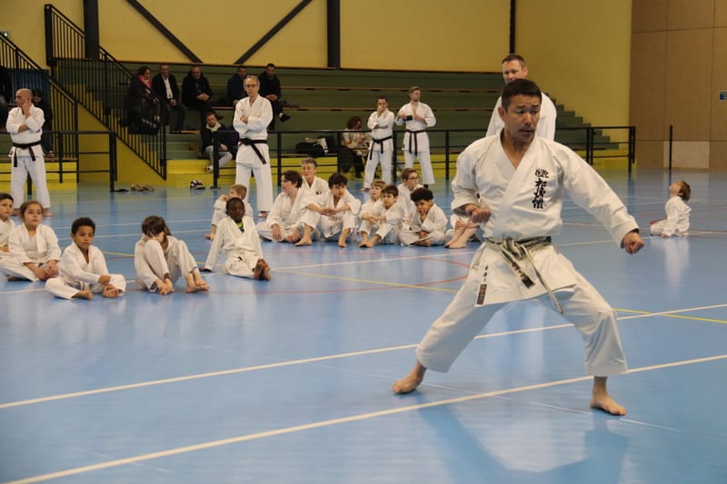 Stage Fumitoshi KANAZAWA le 13/02/2026 à la Ferté Saint Aubin