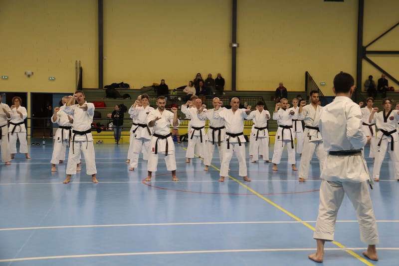 Stage Fumitoshi KANAZAWA le 13/02/2026 à la Ferté Saint Aubin