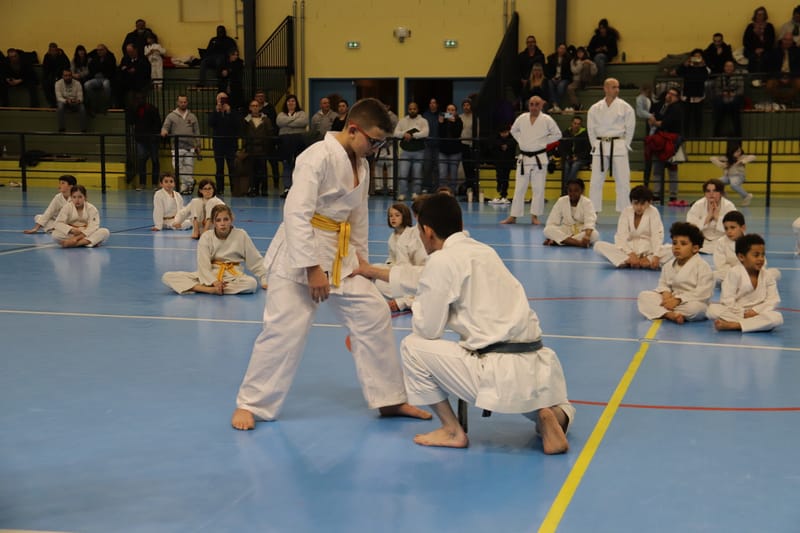 Stage Fumitoshi KANAZAWA le 13/02/2026 à la Ferté Saint Aubin