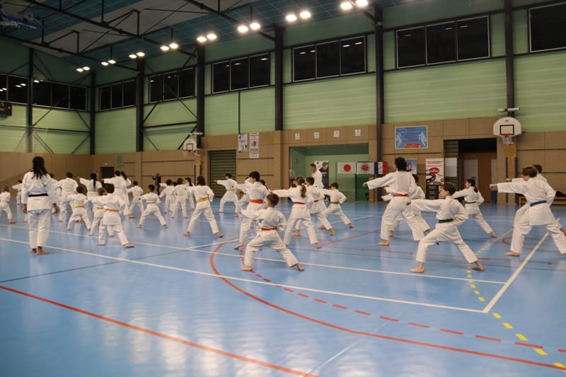 Stage Fumitoshi KANAZAWA le 13/02/2026 à la Ferté Saint Aubin