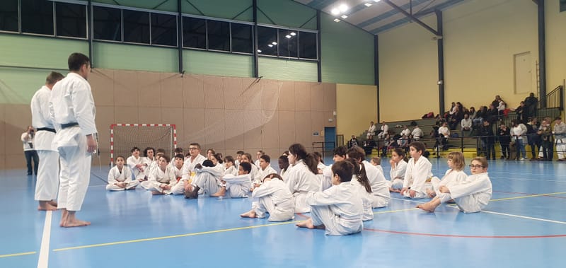 Stage Fumitoshi KANAZAWA le 13/02/2026 à la Ferté Saint Aubin