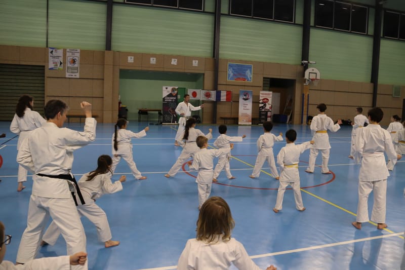 Stage Fumitoshi KANAZAWA le 13/02/2026 à la Ferté Saint Aubin