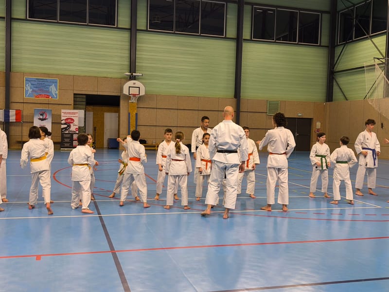 Stage Fumitoshi KANAZAWA le 13/02/2026 à la Ferté Saint Aubin