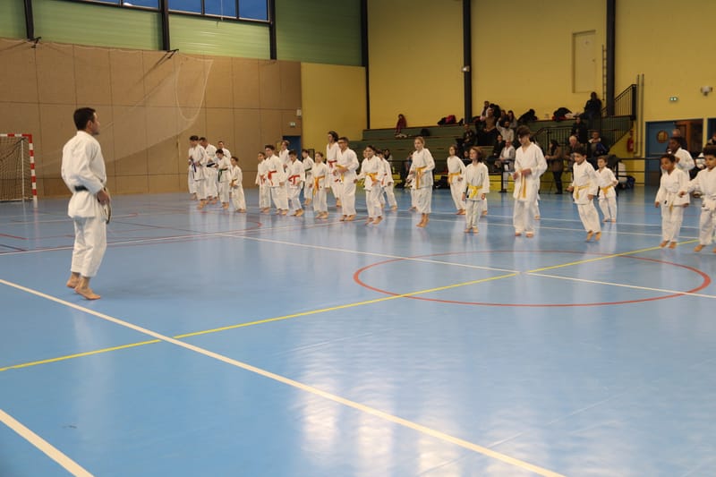 Stage Fumitoshi KANAZAWA le 13/02/2026 à la Ferté Saint Aubin