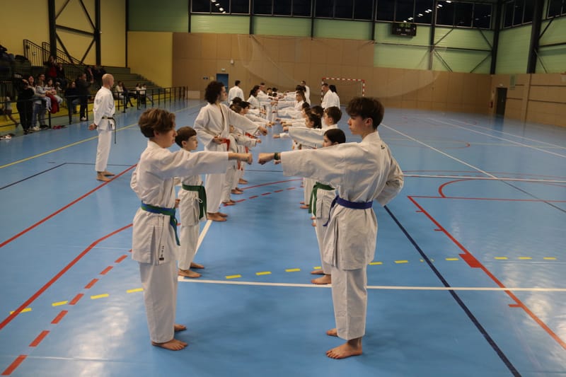 Stage Fumitoshi KANAZAWA le 13/02/2026 à la Ferté Saint Aubin