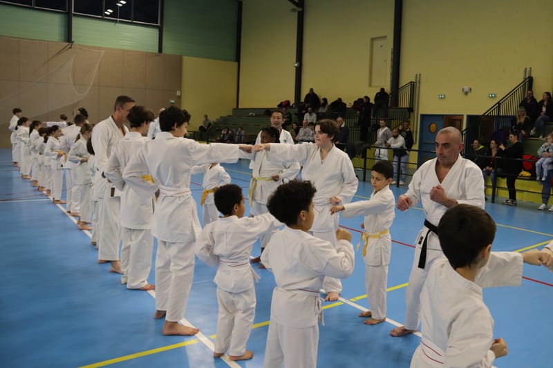 Stage Fumitoshi KANAZAWA le 13/02/2026 à la Ferté Saint Aubin