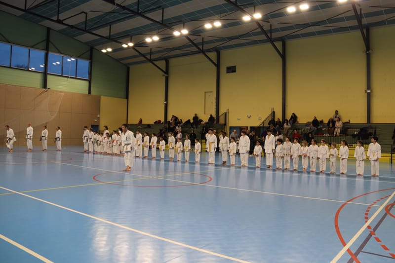 Stage Fumitoshi KANAZAWA le 13/02/2026 à la Ferté Saint Aubin