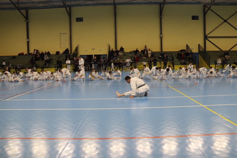 Stage Fumitoshi KANAZAWA le 13/02/2026 à la Ferté Saint Aubin