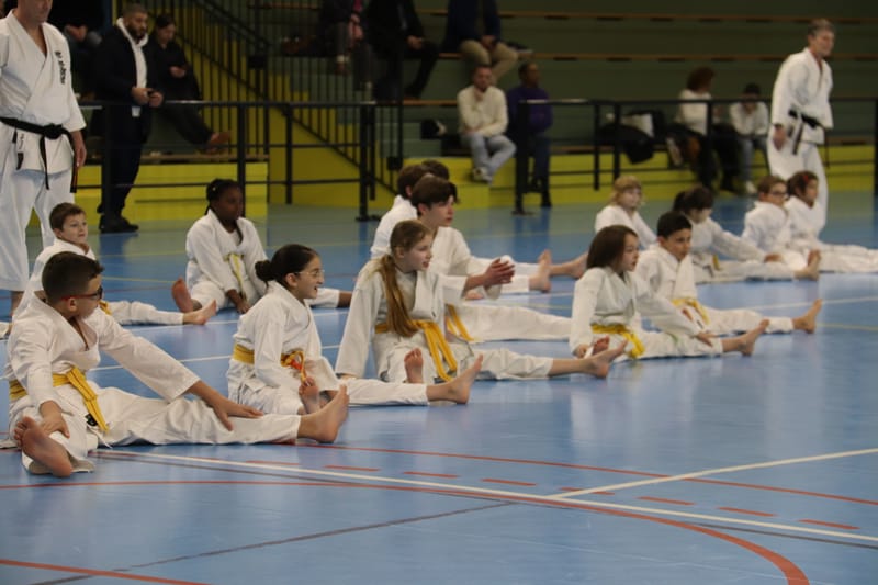 Stage Fumitoshi KANAZAWA le 13/02/2026 à la Ferté Saint Aubin