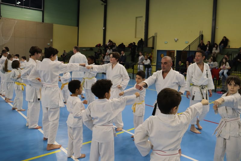 Stage Fumitoshi KANAZAWA le 13/02/2026 à la Ferté Saint Aubin