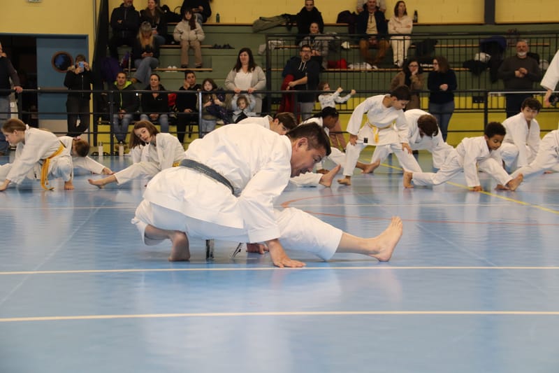 Stage Fumitoshi KANAZAWA le 13/02/2026 à la Ferté Saint Aubin