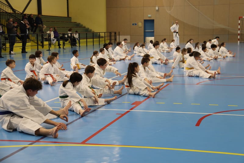 Stage Fumitoshi KANAZAWA le 13/02/2026 à la Ferté Saint Aubin