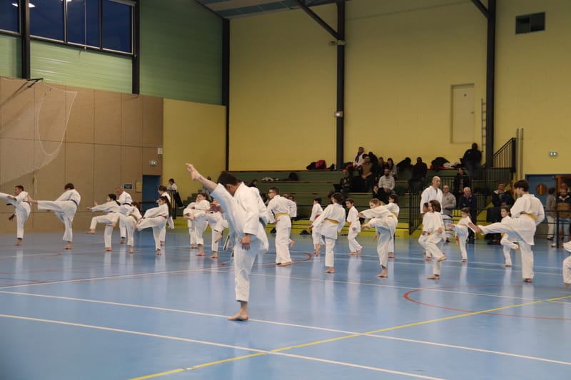 Stage Fumitoshi KANAZAWA le 13/02/2026 à la Ferté Saint Aubin