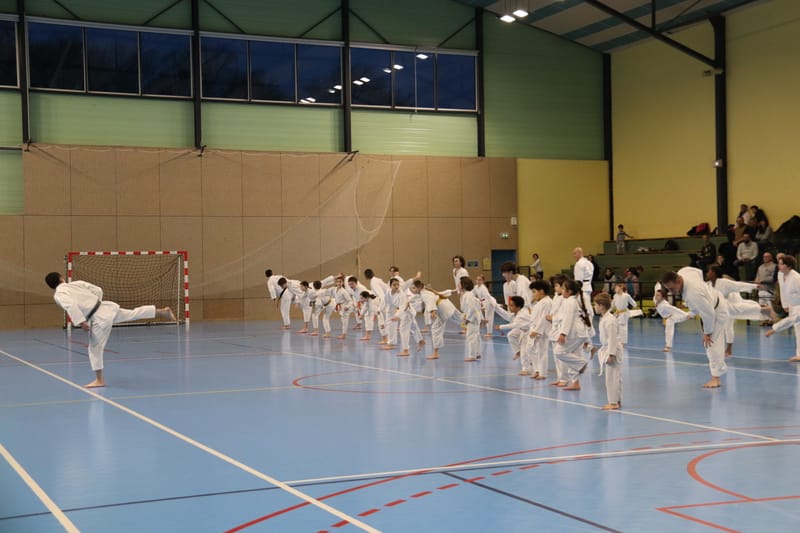 Stage Fumitoshi KANAZAWA le 13/02/2026 à la Ferté Saint Aubin