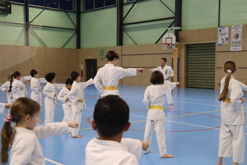 Stage Fumitoshi KANAZAWA le 13/02/2026 à la Ferté Saint Aubin