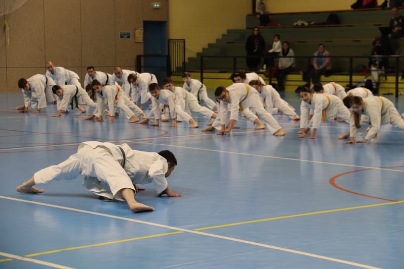 Stage Fumitoshi KANAZAWA le 13/02/2026 à la Ferté Saint Aubin