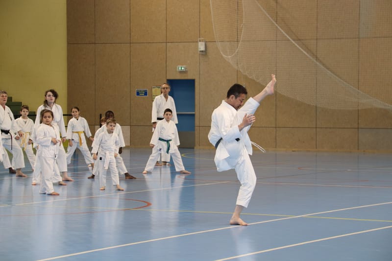 Stage Fumitoshi KANAZAWA le 13/02/2026 à la Ferté Saint Aubin