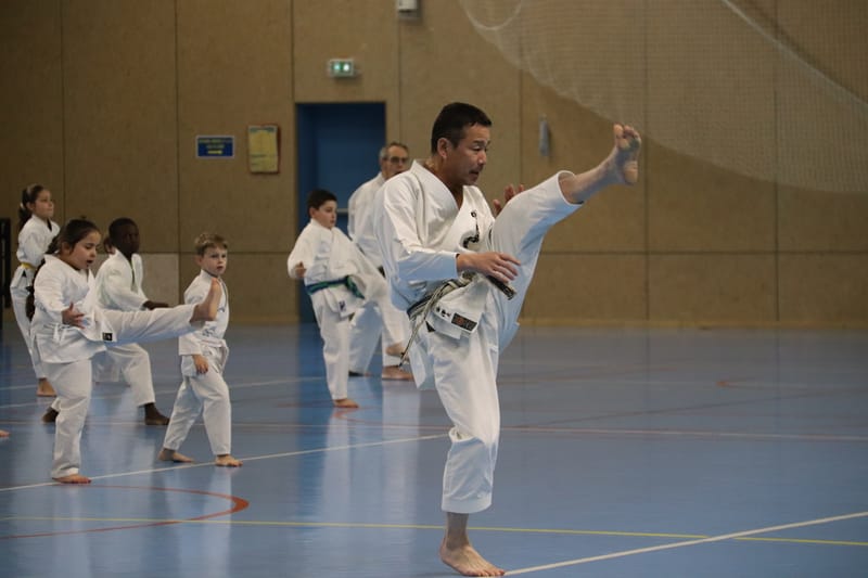 Stage Fumitoshi KANAZAWA le 13/02/2026 à la Ferté Saint Aubin