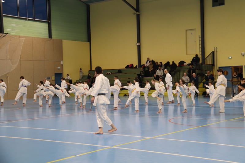 Stage Fumitoshi KANAZAWA le 13/02/2026 à la Ferté Saint Aubin