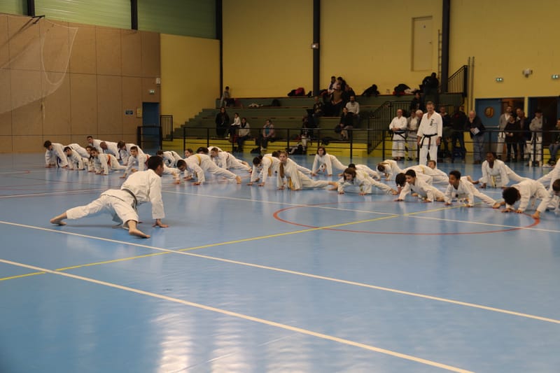 Stage Fumitoshi KANAZAWA le 13/02/2026 à la Ferté Saint Aubin