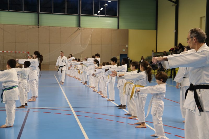 Stage Fumitoshi KANAZAWA le 13/02/2026 à la Ferté Saint Aubin