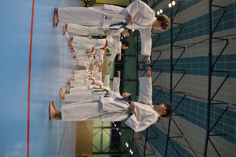 Stage Fumitoshi KANAZAWA le 13/02/2026 à la Ferté Saint Aubin