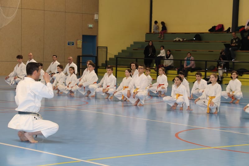 Stage Fumitoshi KANAZAWA le 13/02/2026 à la Ferté Saint Aubin