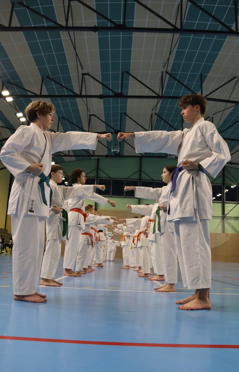 Stage Fumitoshi KANAZAWA le 13/02/2026 à la Ferté Saint Aubin