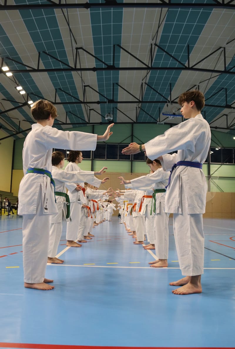 Stage Fumitoshi KANAZAWA le 13/02/2026 à la Ferté Saint Aubin