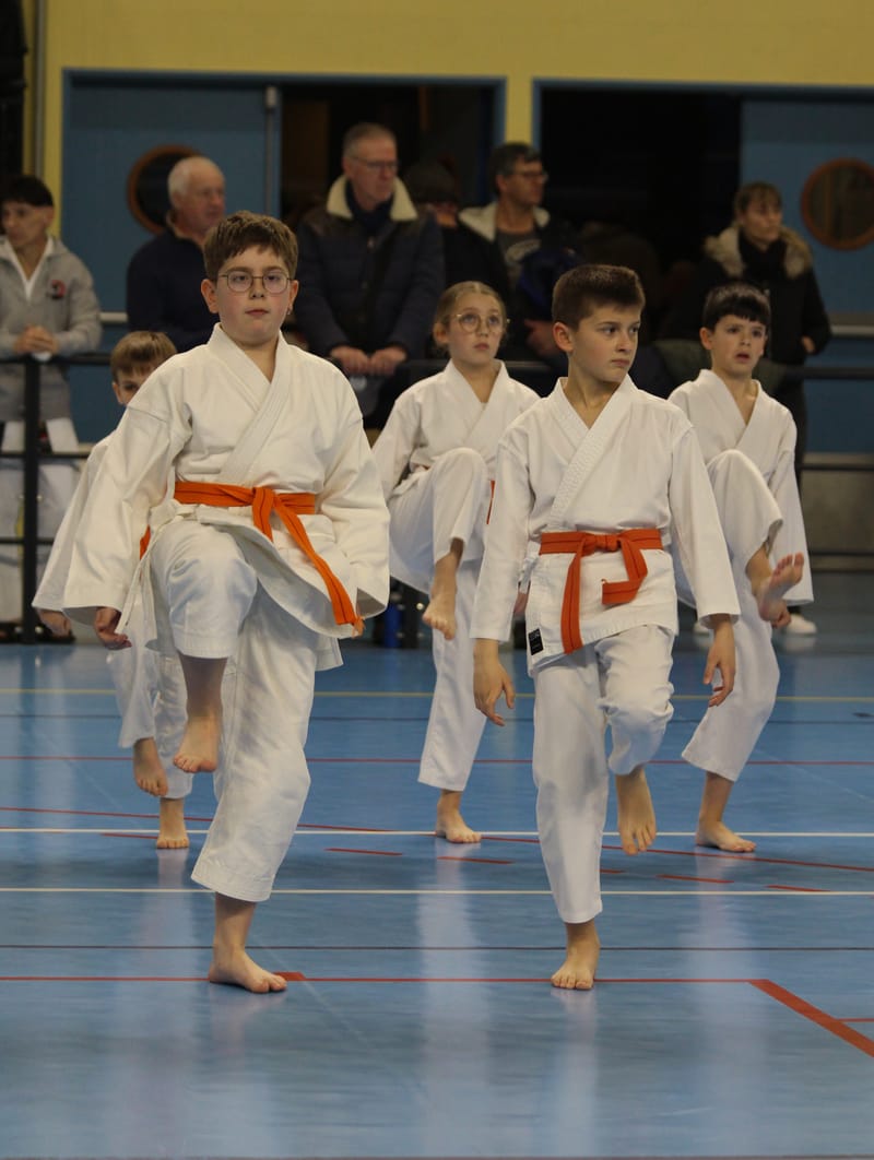 Stage Fumitoshi KANAZAWA le 13/02/2026 à la Ferté Saint Aubin