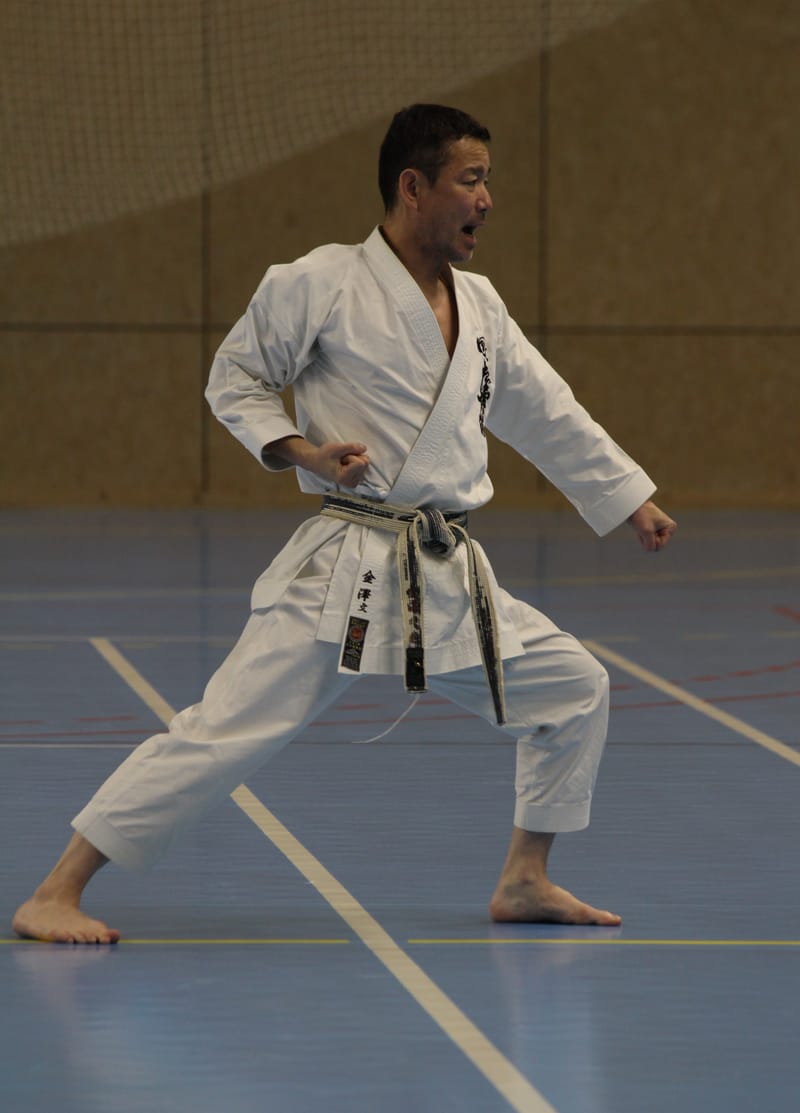 Stage Fumitoshi KANAZAWA le 13/02/2026 à la Ferté Saint Aubin