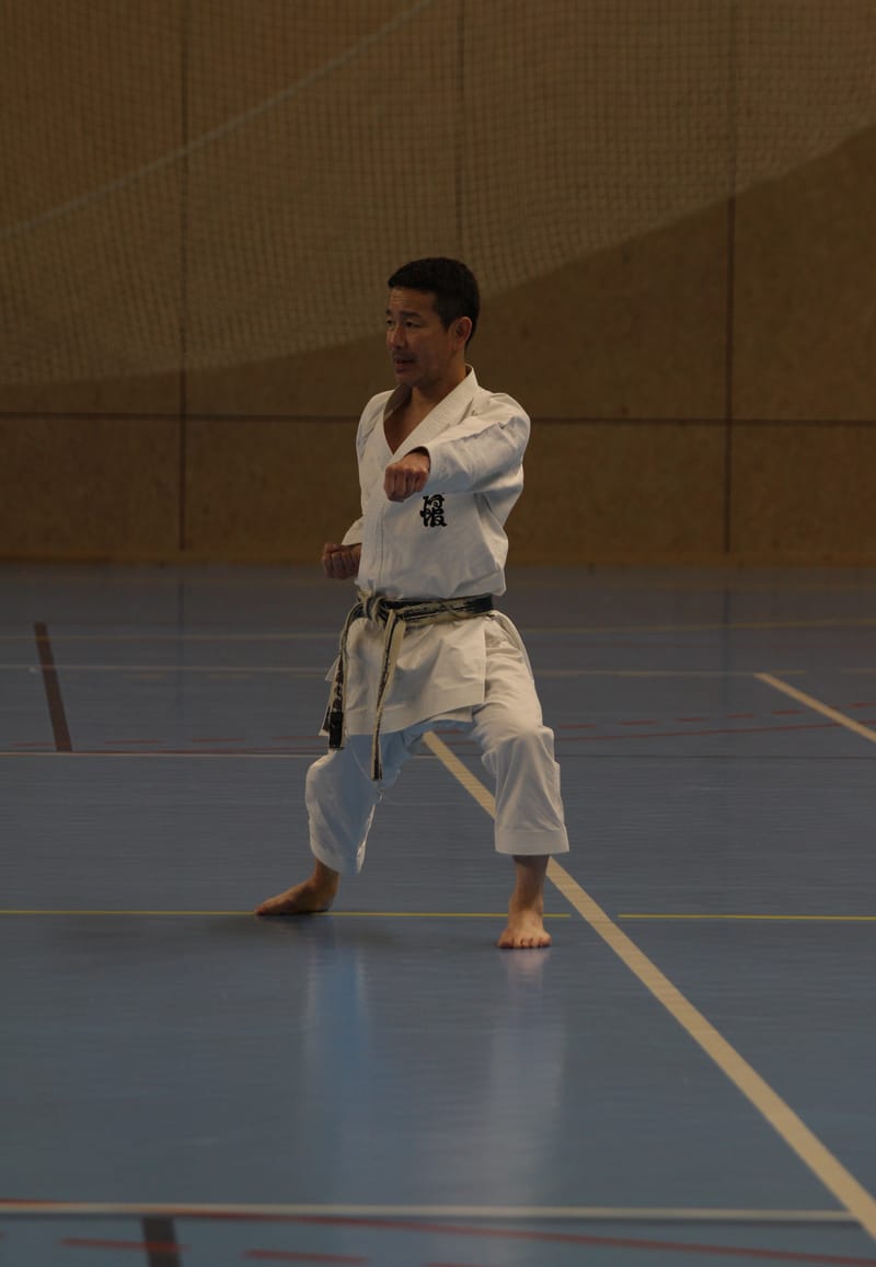 Stage Fumitoshi KANAZAWA le 13/02/2026 à la Ferté Saint Aubin