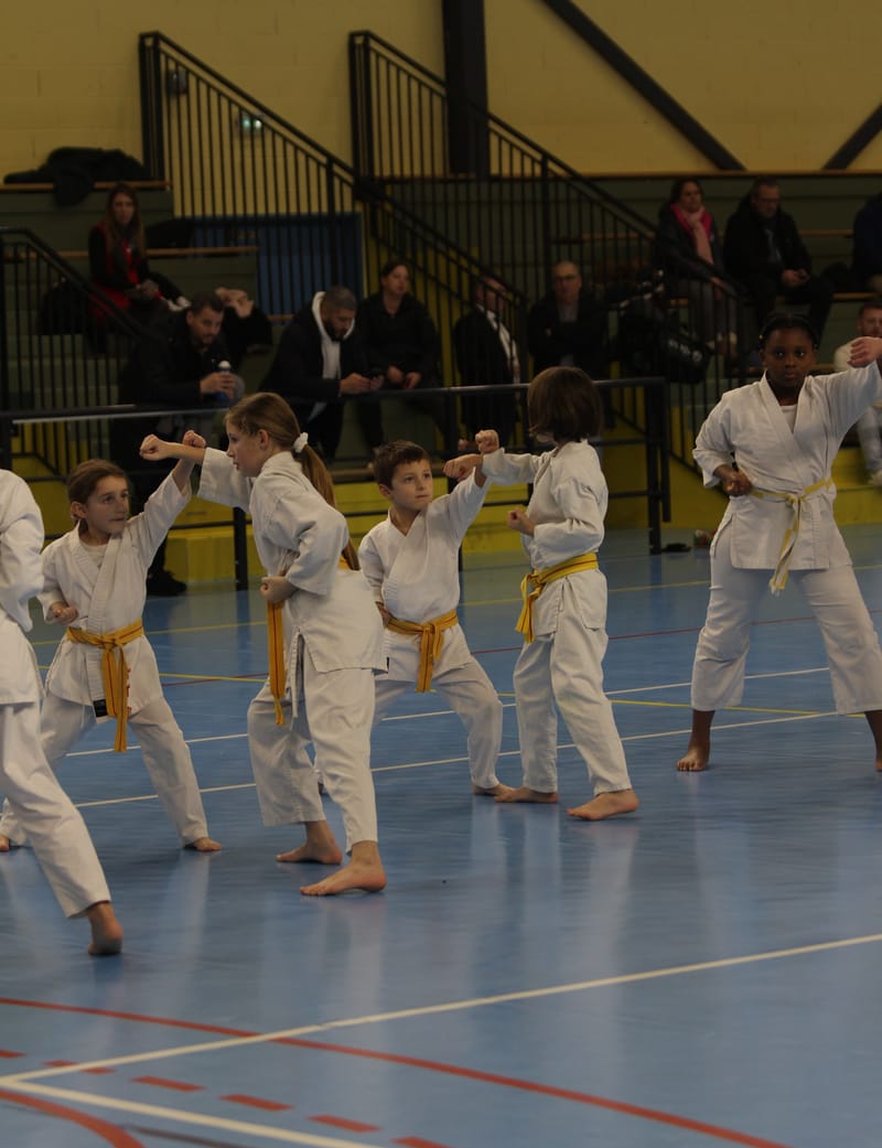 Stage Fumitoshi KANAZAWA le 13/02/2026 à la Ferté Saint Aubin