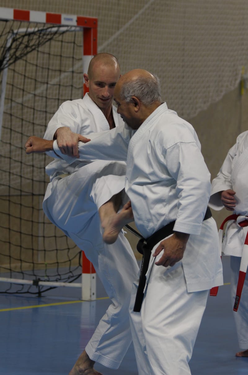 Stage Fumitoshi KANAZAWA le 13/02/2026 à la Ferté Saint Aubin