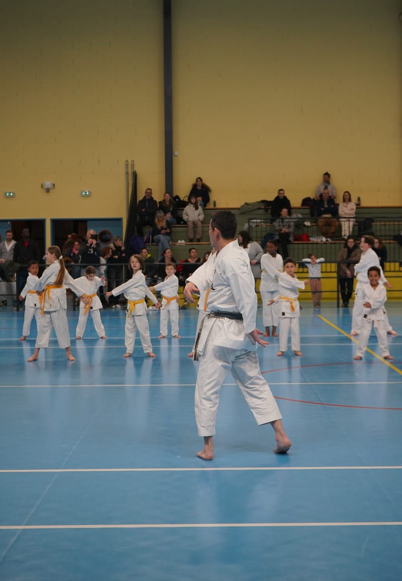 Stage Fumitoshi KANAZAWA le 13/02/2026 à la Ferté Saint Aubin