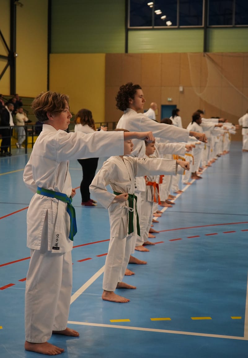 Stage Fumitoshi KANAZAWA le 13/02/2026 à la Ferté Saint Aubin