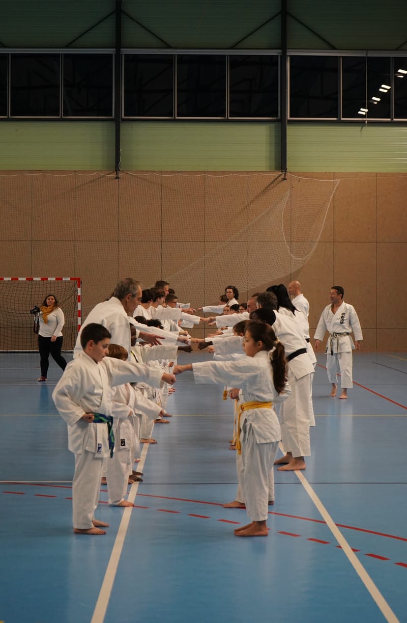 Stage Fumitoshi KANAZAWA le 13/02/2026 à la Ferté Saint Aubin