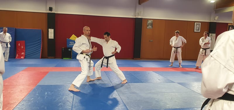 Stage avec Sébastien TROISPOUX - DTD le 14/03/2026 à Saran