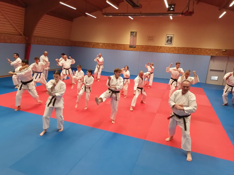 Stage Maurice GHORZI 7ème DAN - Karaté Do Club de Bourges - Samedi 21/03/2026