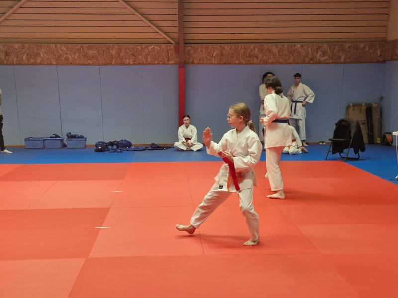 Coupe Samouraï KCF - le 29-03-2026