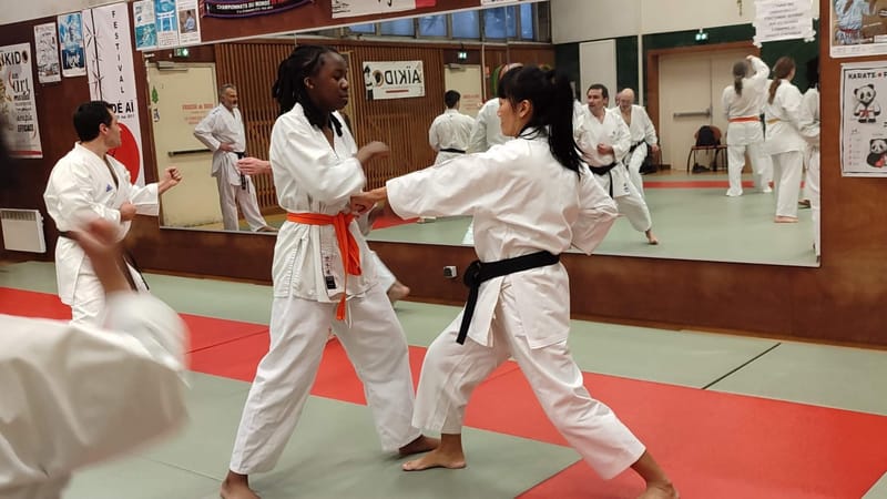 Stage avec Thierry CLAUDE 7ème DAN