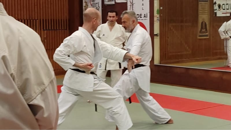 Stage avec Thierry CLAUDE 7ème DAN