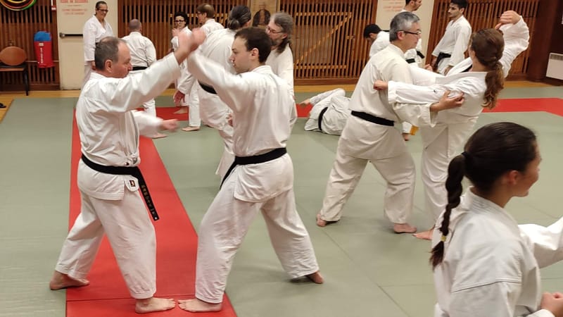 Stage avec Thierry CLAUDE 7ème DAN